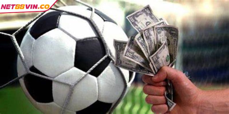 Tìm hiểu và theo dõi kèo rung 