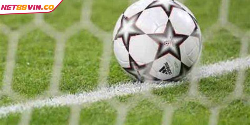 Chiến lược cá cược hiệu quả 