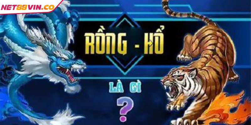 Chiến thắng khi nắm rõ những thuật ngữ 