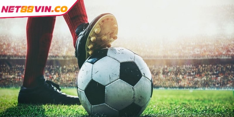 Kèo phát bóng - Đọc kèo chuẩn xác tăng tỷ lệ thắng lớn Hiểu rõ cách tính tiền thưởng lên kế hoạch đặt cược hiệu quả