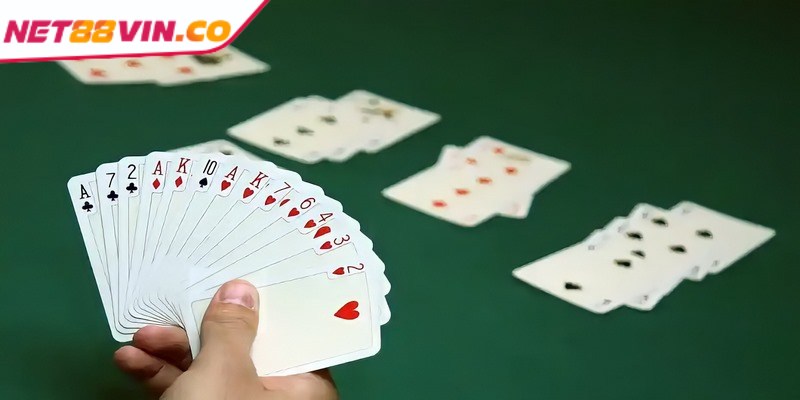 Bài Bridge là gì và những thông tin quan trọng cho người mới