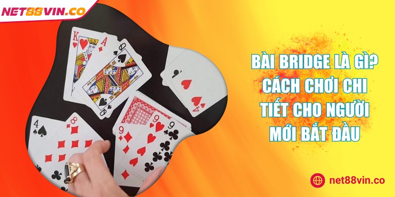 bai bridge la gi
