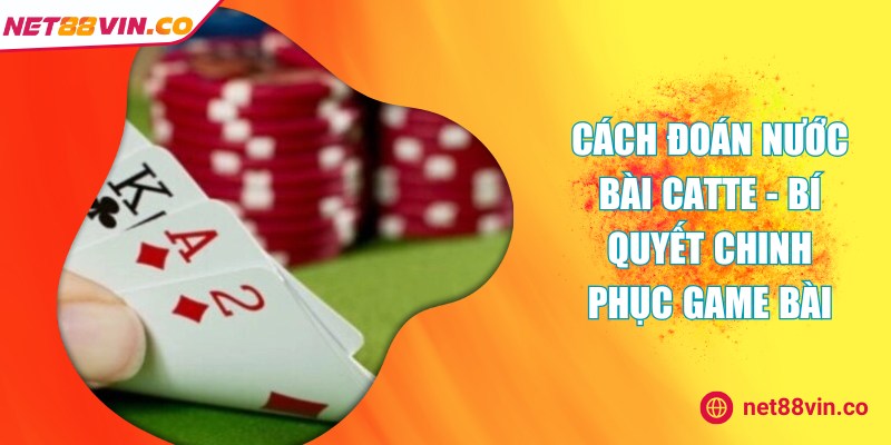 cach doan nuoc bai catte