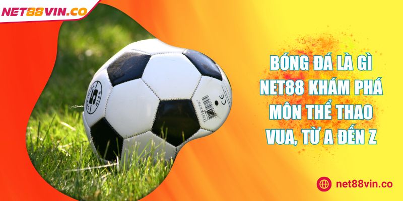 bóng đá là gì NET88