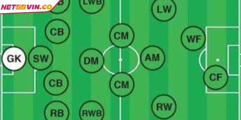 Vai trò vị trí của tiền vệ trong trận bóng đá