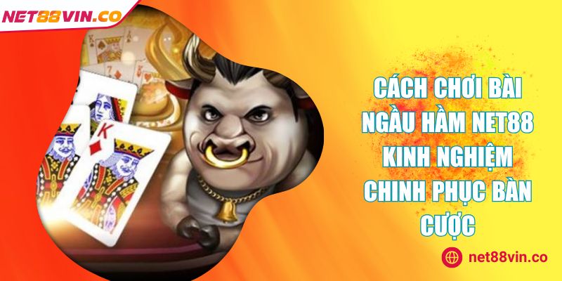 Cách chơi bài Ngầu Hầm NET88