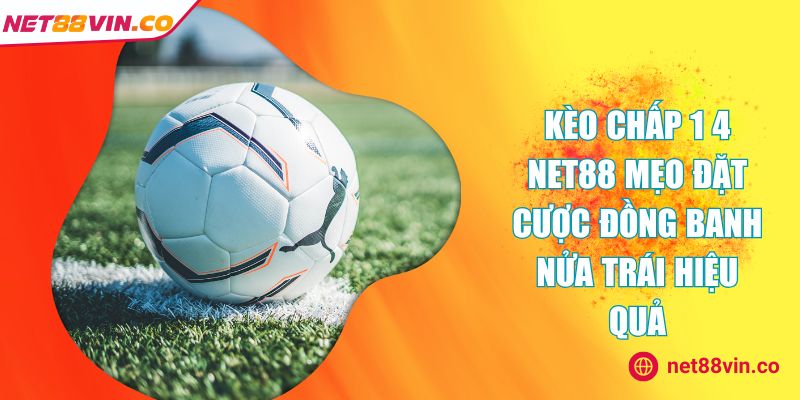kèo chấp 1 4 NET88