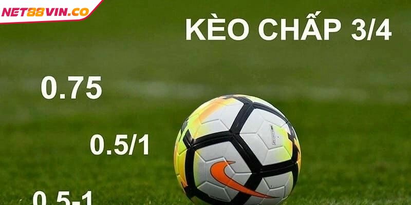 Ví dụ về kèo cược chấp 3 4 NET88 cho tân thủ dễ nắm bắt